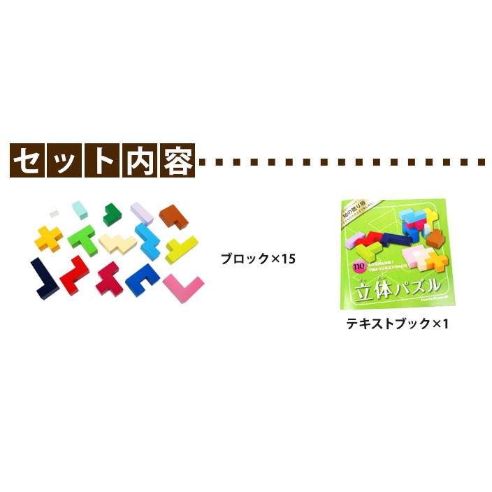 エドインター 知の贈り物 立体パズル 知育玩具 木製玩具 木のおもちゃ