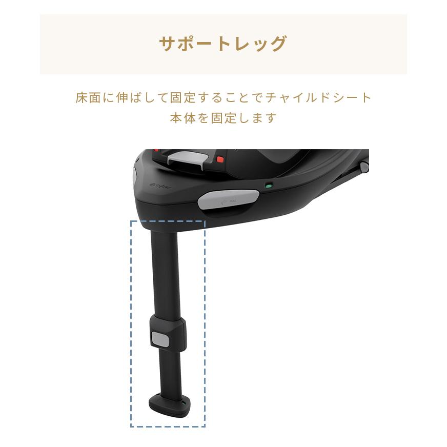 サイベックス　ベースG ベースG – サイベックス公式オンラインストア