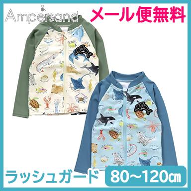 BIT'Z ビッツ 海の生き物図鑑柄 ラッシュガード サックス キナリ 80cm