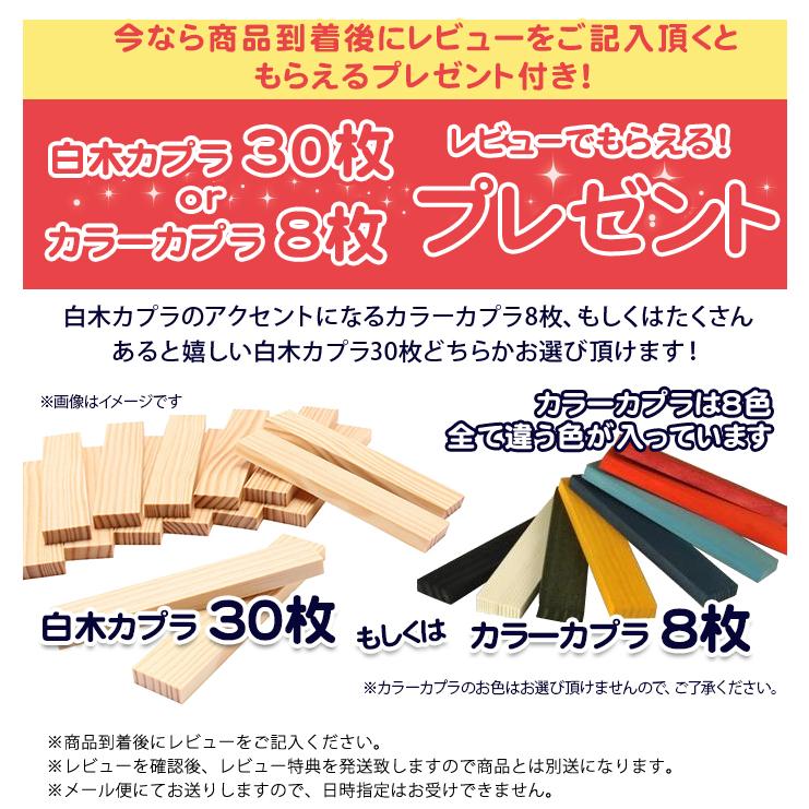 KAPLA カプラ カプラ280 デザインブック茶1冊セット 小冊子付き KAPLA カプラ カプラ280 デザインブック茶1冊セット 小冊子付き