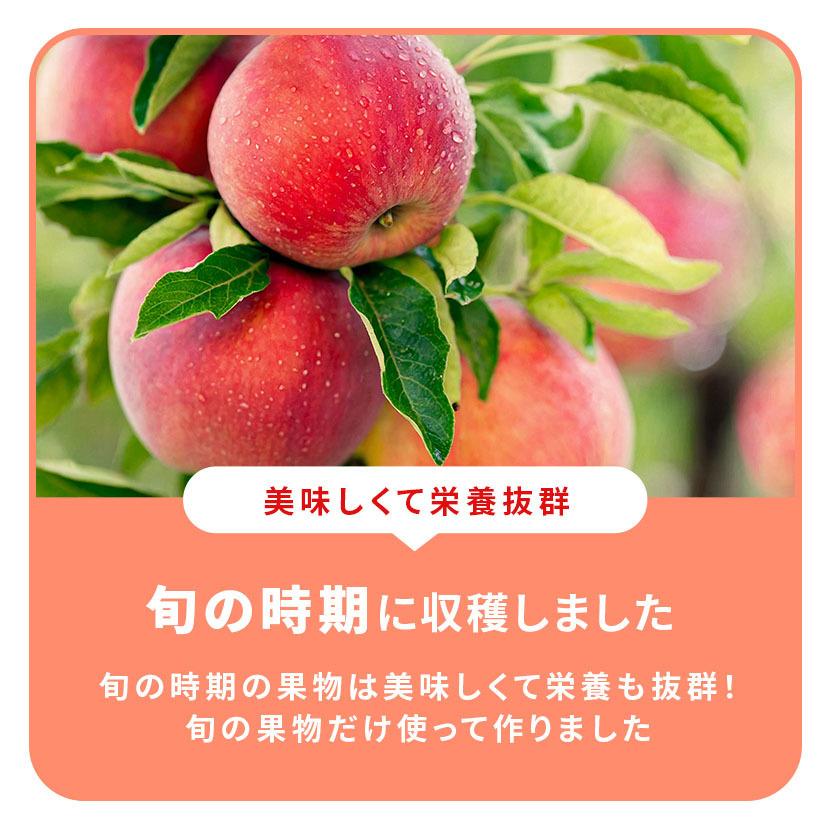 りんごさま専用ページ VITALMEALS BY DADWAY もぐもぐフルーツ 365 りんご 無添加 フリーズ