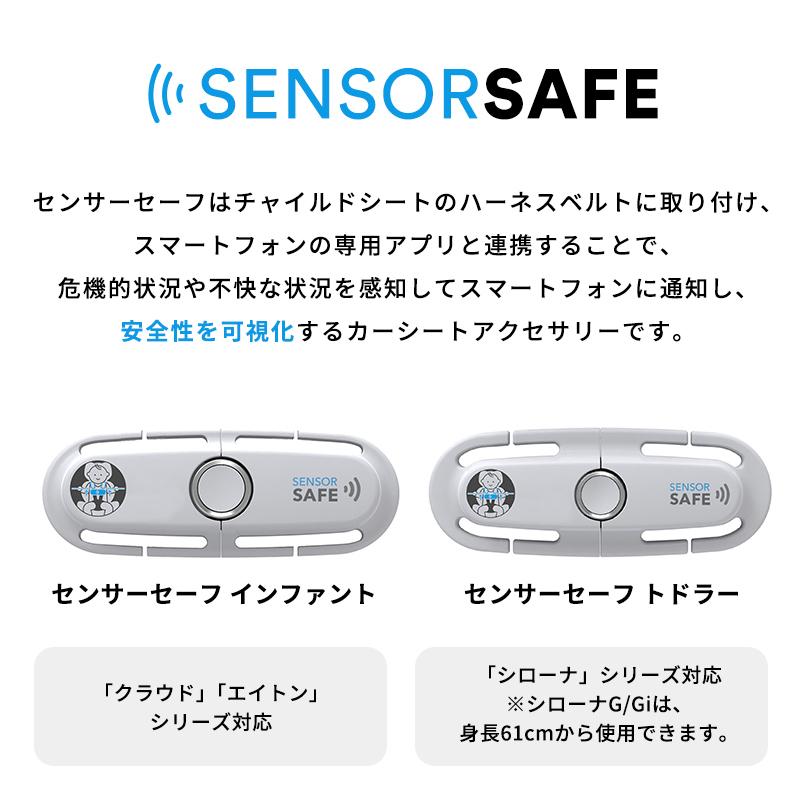 CHANNEL S CIpro サイズ6 NICHE 520 Pitch 50 Tooth Rear Drive