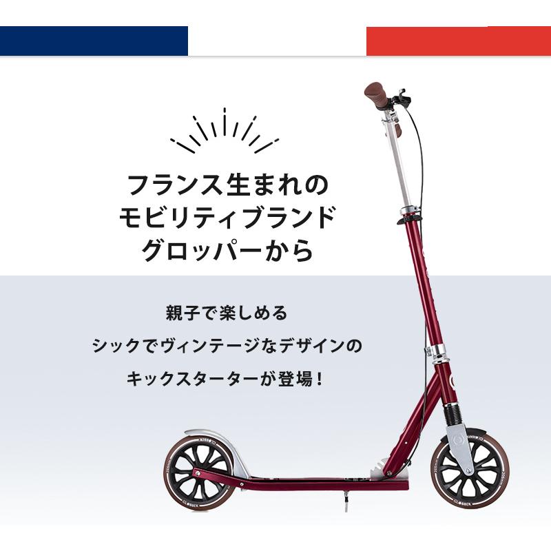 AIRBUGGY GLOBBER グロッバー NL205 デラックス ヴィンテージ AIRBUGGY GLOBBER グロッバー NL205 デラックス ヴィンテージ
