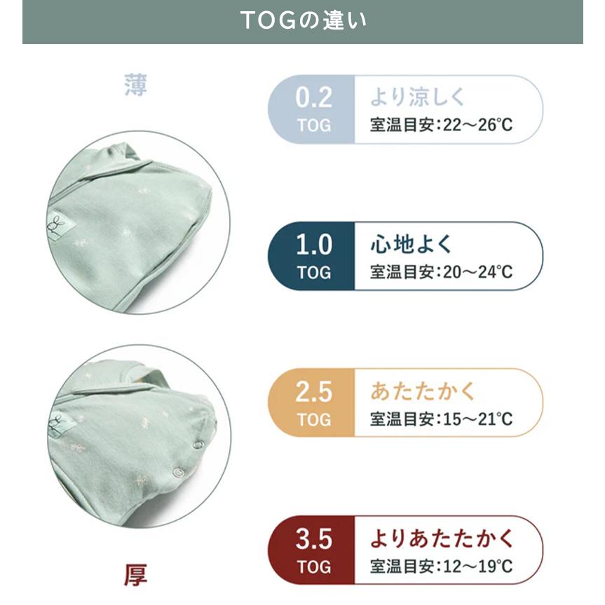エルゴポーチ オールシーズン コクーンスワドルバッグ 0.2 TOG ergoPouch 夜泣き ベビー 赤ちゃん 主産祝い 着るおくるみ モロー反射 寝かしつけ 寝返りの画像