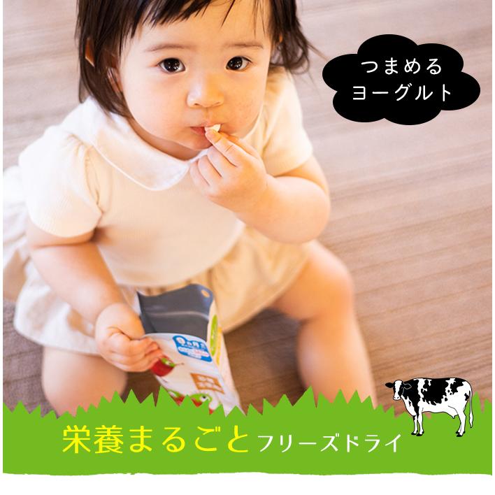 キウイガーデン フリーズドライ プレーンヨーグルト お子様から大人まで 新感覚 ベビーフード U7192 ナチュラルリビング ママ ベビー 通販 Yahoo ショッピング