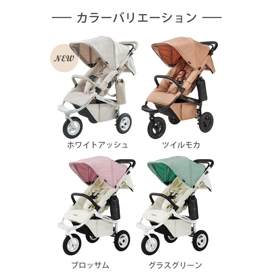 エアバギー ココプレミア property-madagascar.com