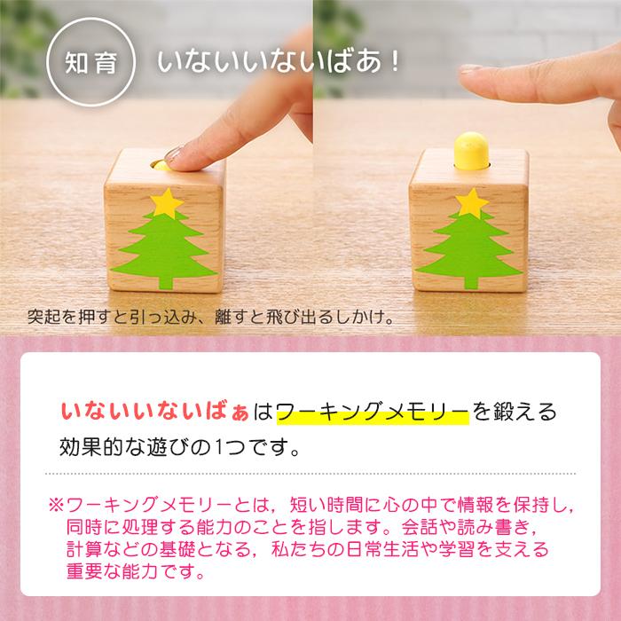 エデュテ ポップアップブロックス 木のおもちゃ 積み木 出産祝い お誕生日祝い 音がでる ボタン｜natural-living｜12