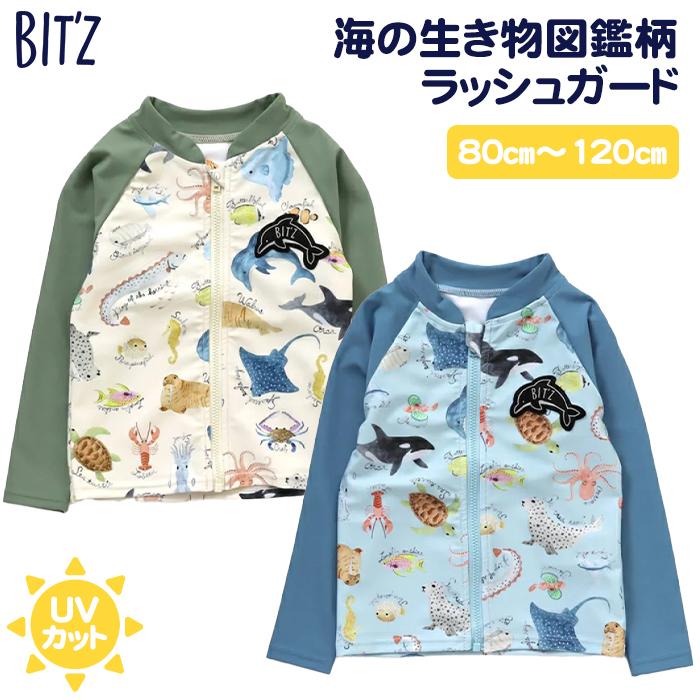 BIT'Z ビッツ 海の生き物図鑑柄ラッシュガード キナリ 80cm UVカット