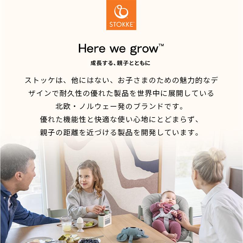 トリップトラップ ストッケ 5点 バンドルセット STOKKE TRIPP TRAPP