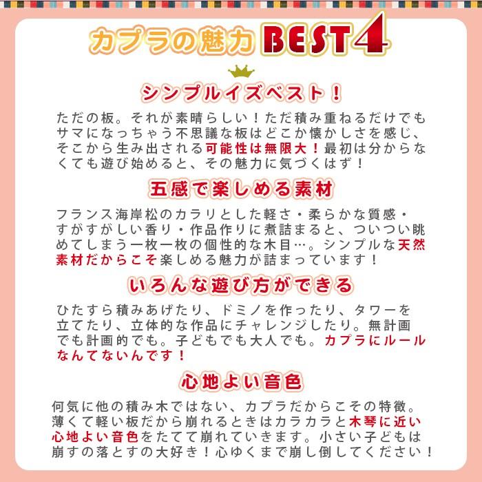 KAPLA カプラ デザインブック 赤 6歳位〜 建物と動物｜natural-living｜11