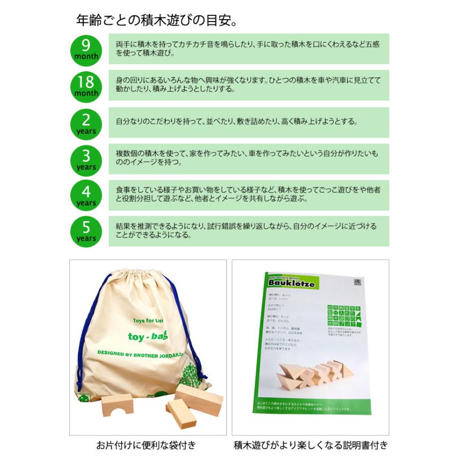 セレクタ社 ブロックス スターターセット 大 木のおもちゃ セレクタ社 ブロックス スターターセット 大 木のおもちゃ