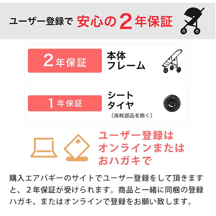 エアバギー ココ ブレーキ フロムバース ベリー ベビーカー a型 三輪 正規品 2年保証｜natural-living｜11