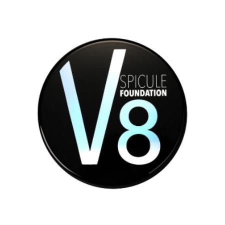 V8スピキュールファンディーション2個セット V8 ブイエイト SPICULE FOUNDATION スピキュール ファンデーション 18g