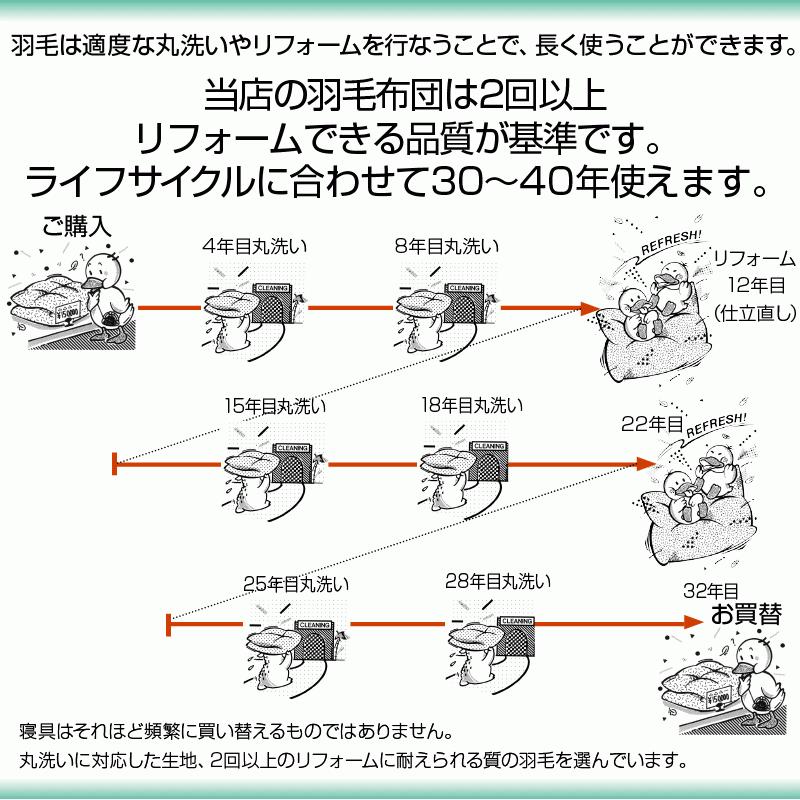 羽毛布団 セミダブル ロング 掛け布団 レギュラー 本掛け TE270-PPST98 480dp グースダウン98%使用 超軽量ドイツ製生地：綿100% 一般的な冬布団の保温性の画像