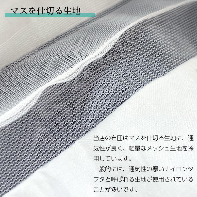 羽毛布団 セミダブル ロング 掛け布団 レギュラー 本掛け TE270-PPST98 480dp グースダウン98%使用 超軽量ドイツ製生地：綿100% 一般的な冬布団の保温性の画像