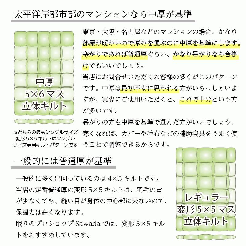 羽毛布団 セミダブル ロング 掛け布団 レギュラー 本掛け TE270-PPST98 480dp グースダウン98%使用 超軽量ドイツ製生地：綿100% 一般的な冬布団の保温性の画像