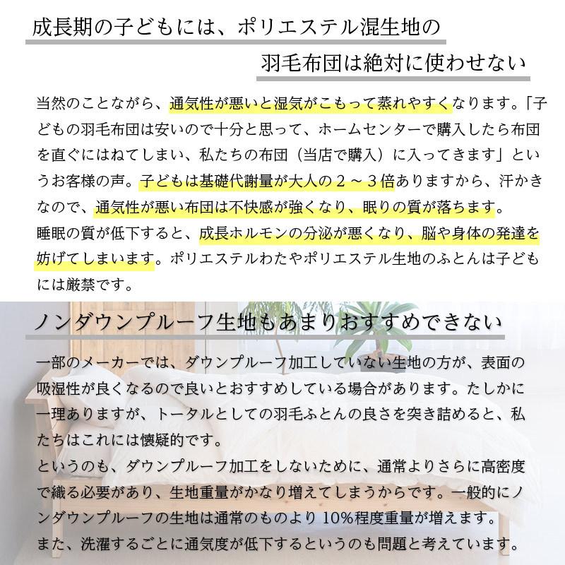 羽毛布団 キング ロング 掛け布団 レギュラー 本掛け TE200-PPMG95 マザーグースダウン使用 超軽量ドイツ製生地：綿100% 一般的な冬布団の保温性の画像