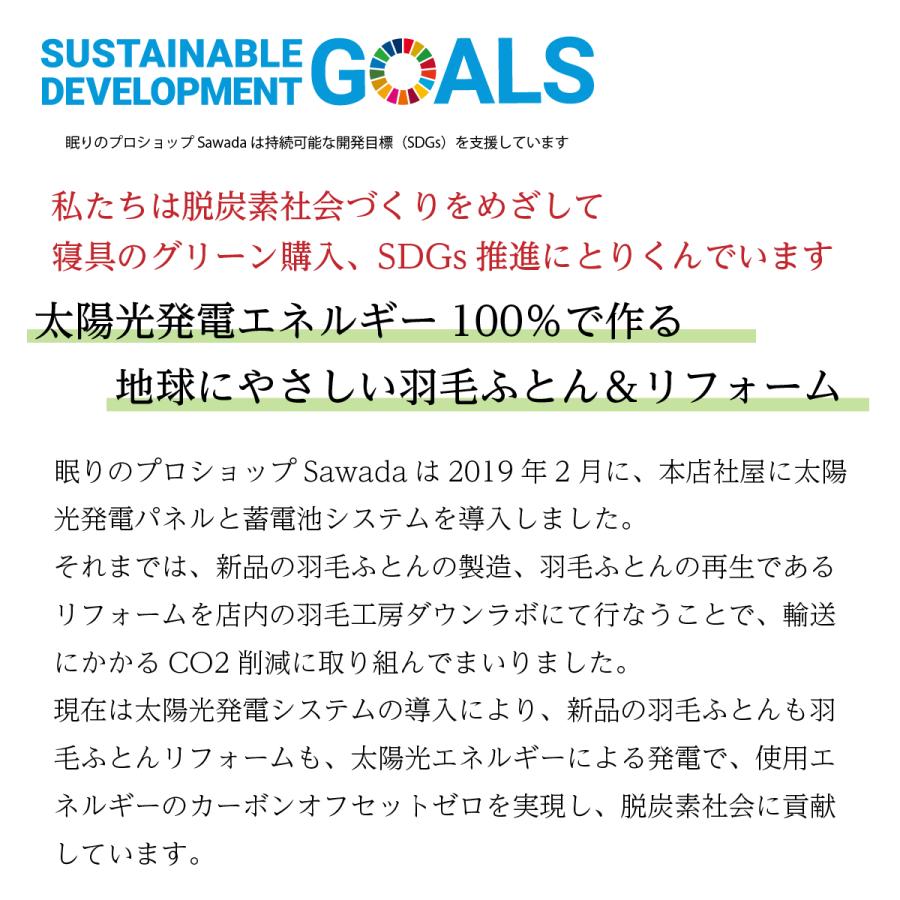 羽毛布団 キング ロング 掛け布団 レギュラー 本掛け TE200-PPMG95 マザーグースダウン使用 超軽量ドイツ製生地：綿100% 一般的な冬布団の保温性の画像