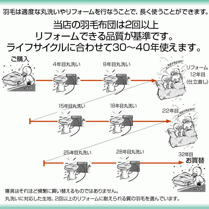 掛け布団 羽毛布団 キングロング 肌掛け SB100-HWG95 440dp トップグレードグースダウン使用 超軽量日本製生地：綿100% レギュラーの4分の1｜natural-sleep｜17