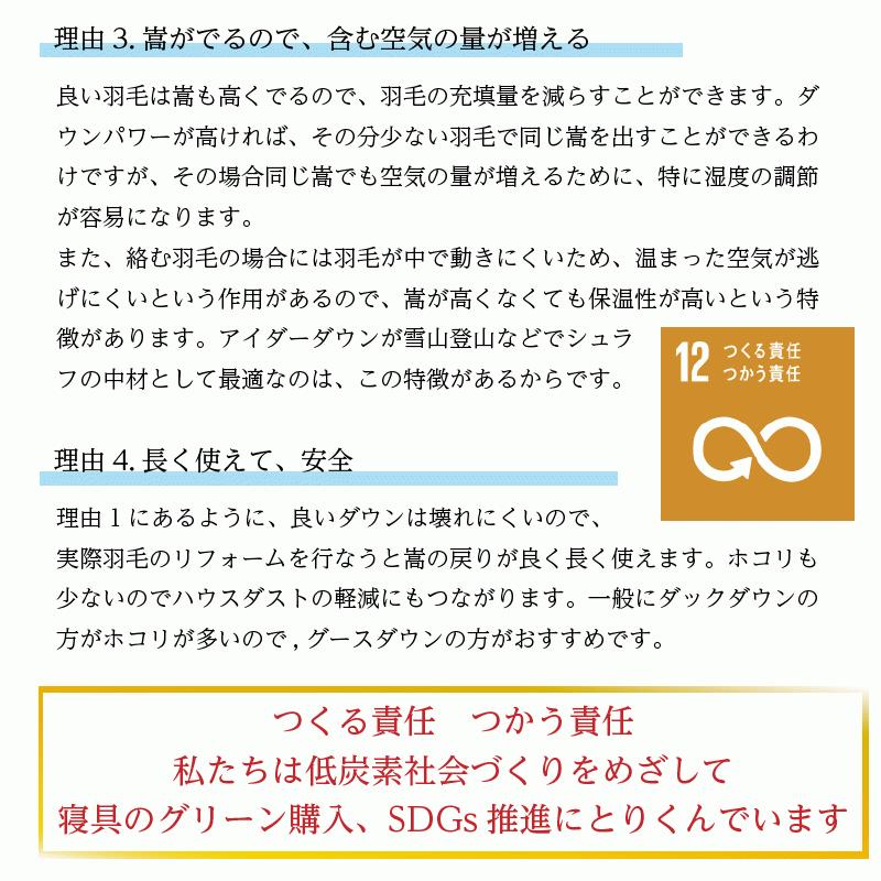 掛け布団 羽毛布団 クイーンロング 中厚 本掛け SB100-HWG95 440dp トップグレードグースダウン使用 超軽量日本製生地：綿100% 高気密住宅やマンション向け｜natural-sleep｜16