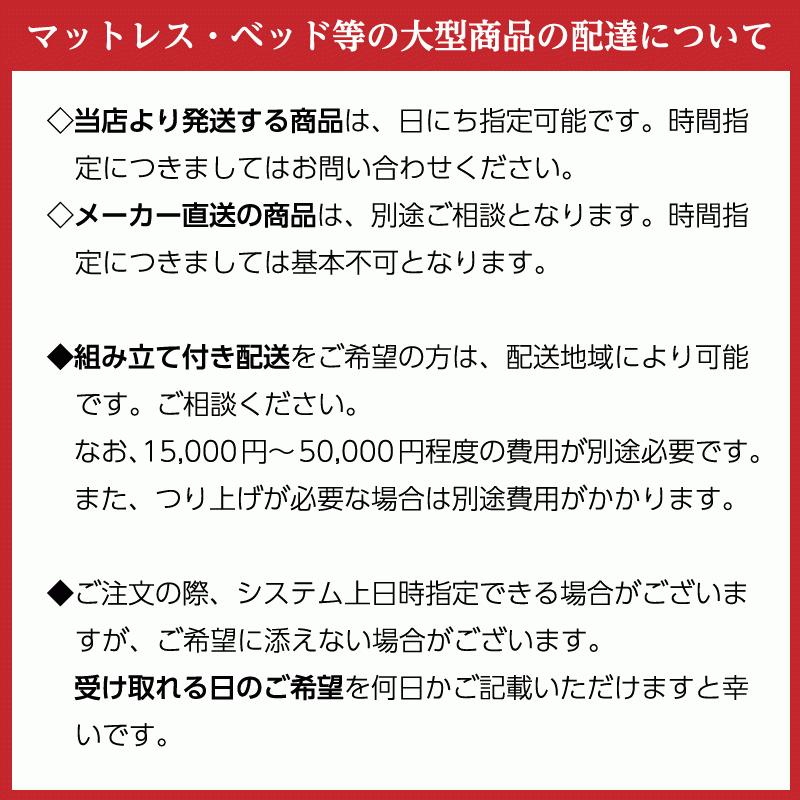 ボディドクター Froli フローリー ポイントサポート ベッド Viado