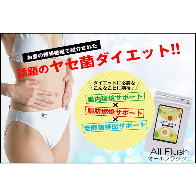 ✨新品✨ ブラックジンジャー × 乳酸菌 90粒　便秘　ダイエット　体脂肪　健康