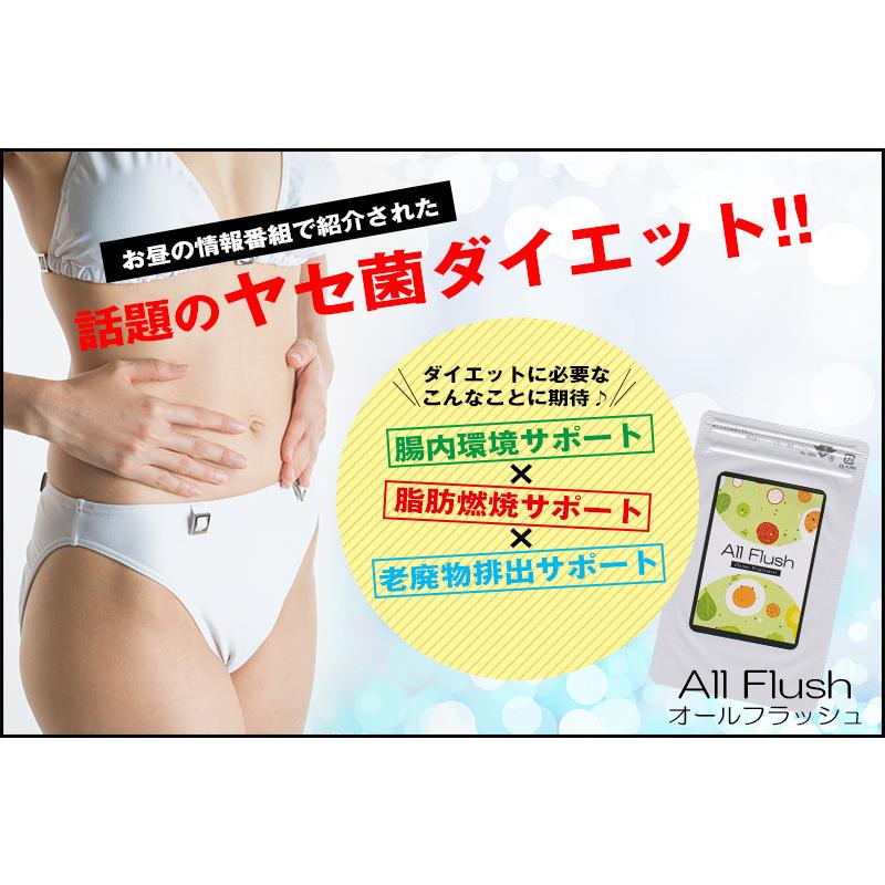 お値下げリ.フレッシュ　ダイエットサプリ　60本 脂肪燃焼&消化をサポート『Re.Fresh(リフレッシュ)』 | GOOD