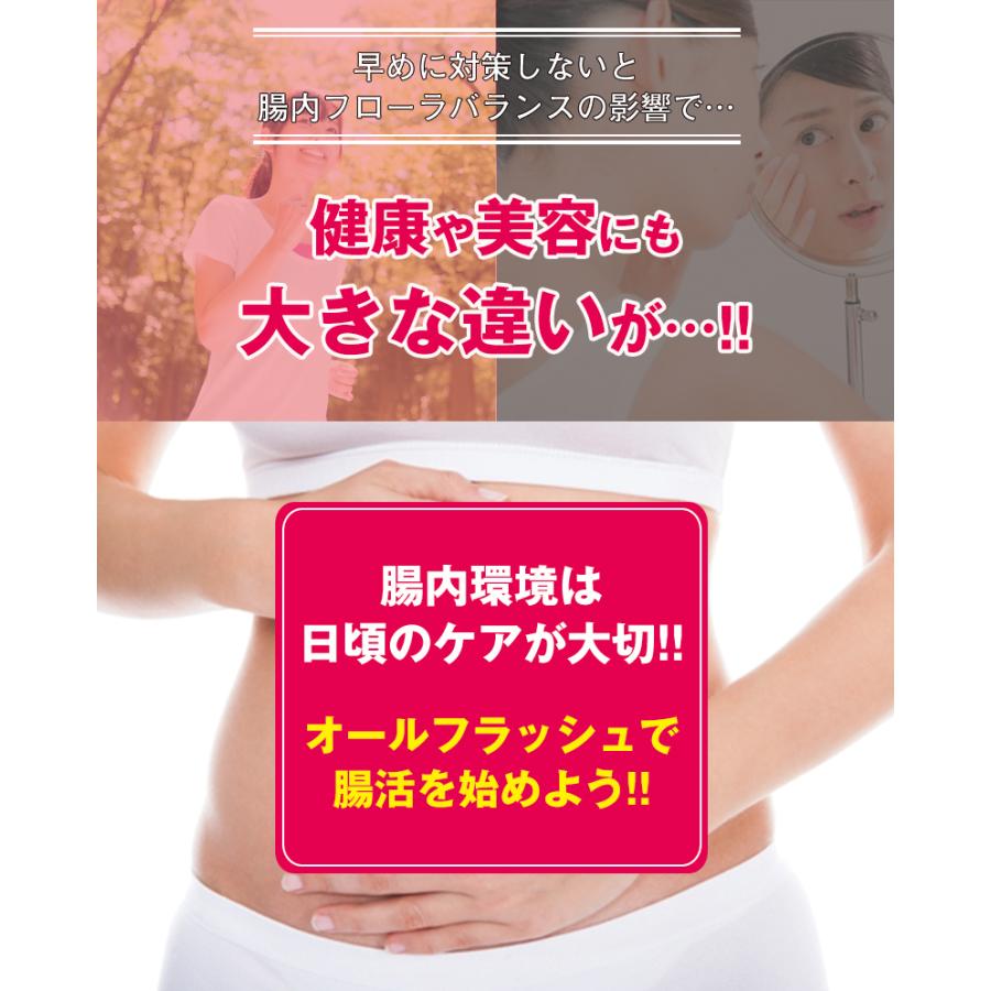 ダイエットサプリ オールフラッシュ 90粒 約1カ月分 ダイエット