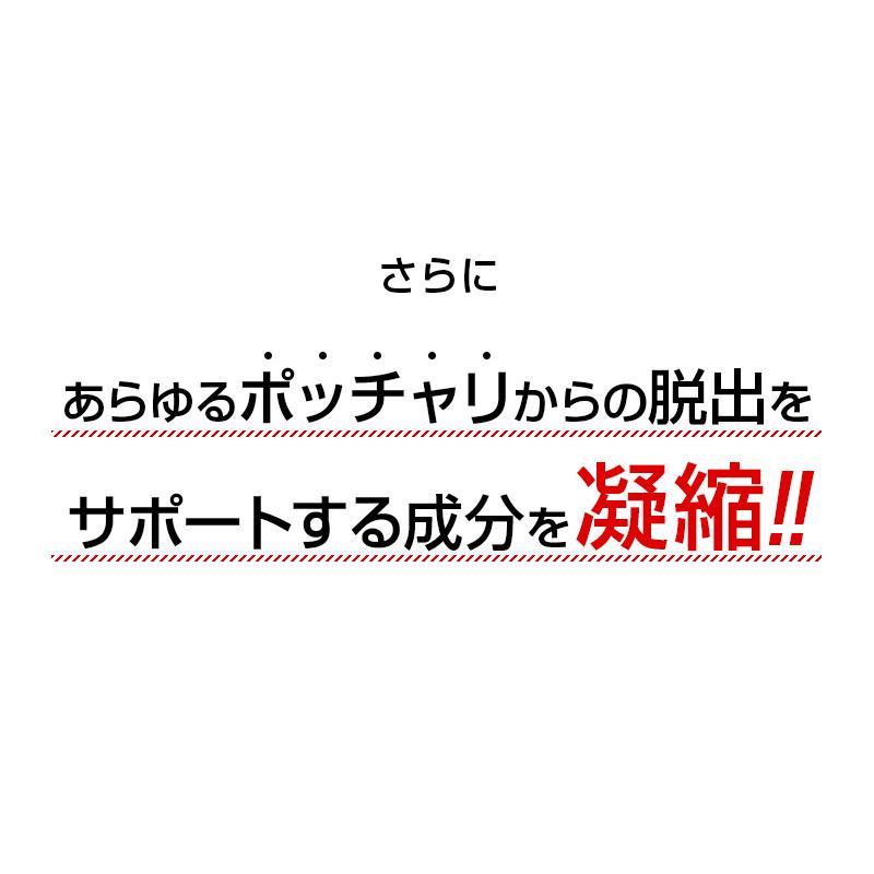 ダイエット食品 成田式ナチュラルポタージュダイエット100 ダイエットスープ｜natural-store｜05