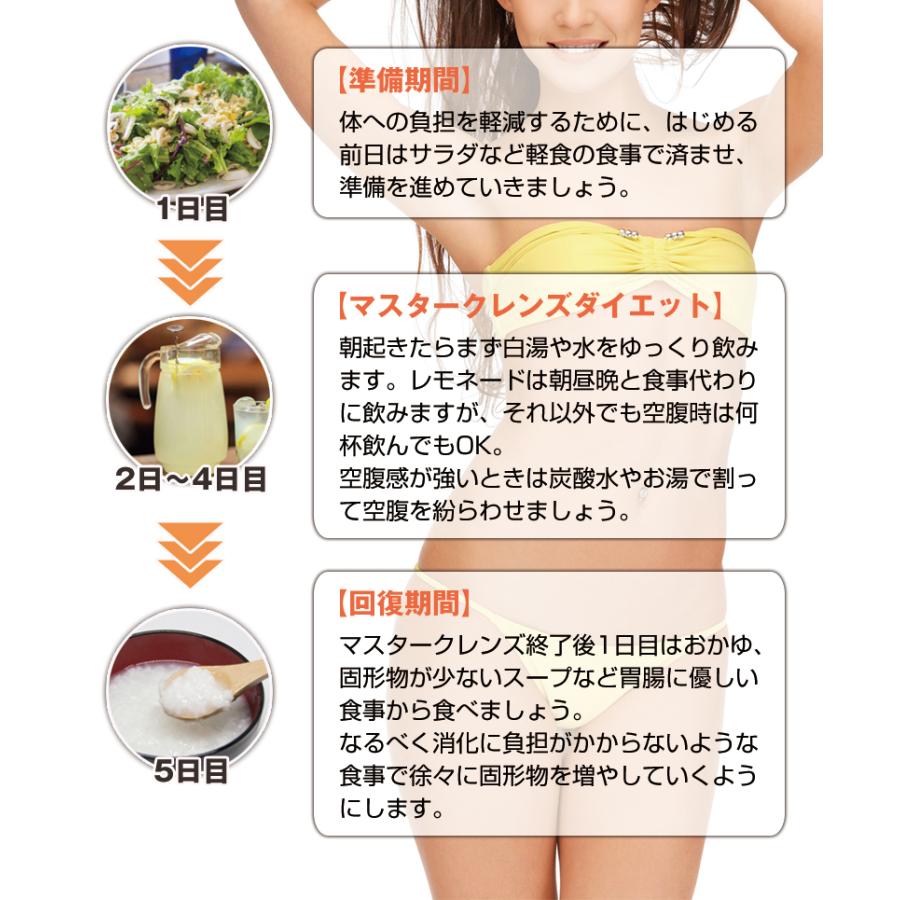 置き換えダイエット食品 ファスティング ダイエット スラリードリッチレモネードプレミアム 100g クレンズダイエット 乳酸菌 酵素ドリンク｜natural-store｜15