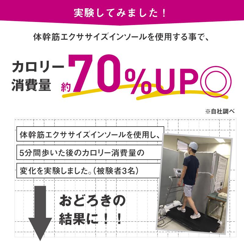 カロリー消費量アップインソール23-24.5cmブラック2組 体幹筋エクササイズインソール ツインボール 中敷き インソール 体幹