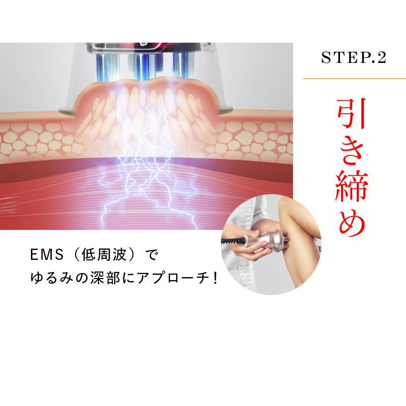 WAVEWAVE EMS Slim Esthe Plus ダイエット器具 脂肪 吸引 筋肉 顔 腹