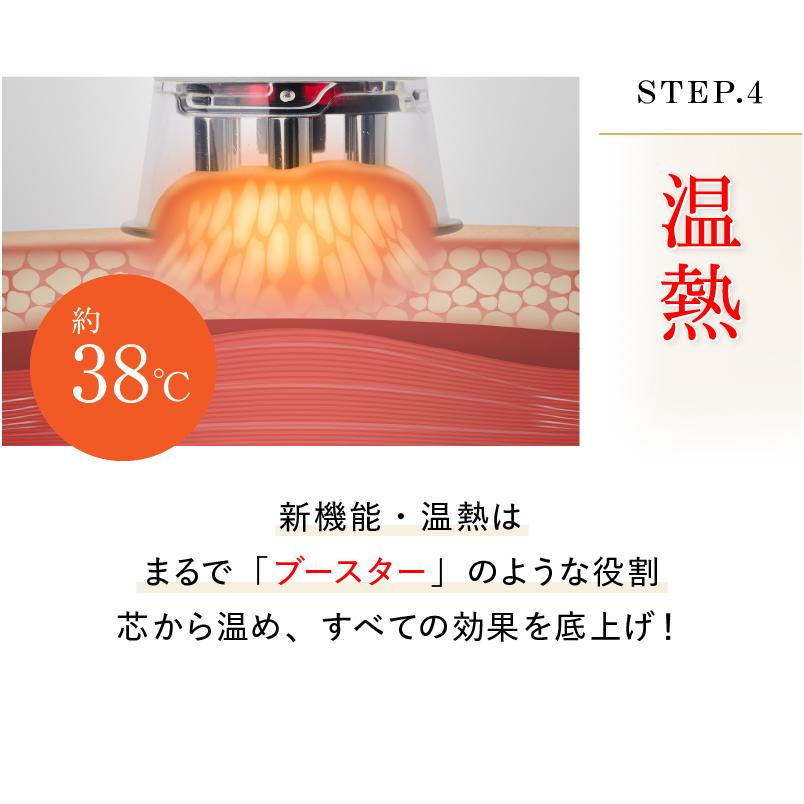 WAVEWAVE EMS Slim Esthe Plus ダイエット器具 脂肪 吸引 筋肉 顔 腹