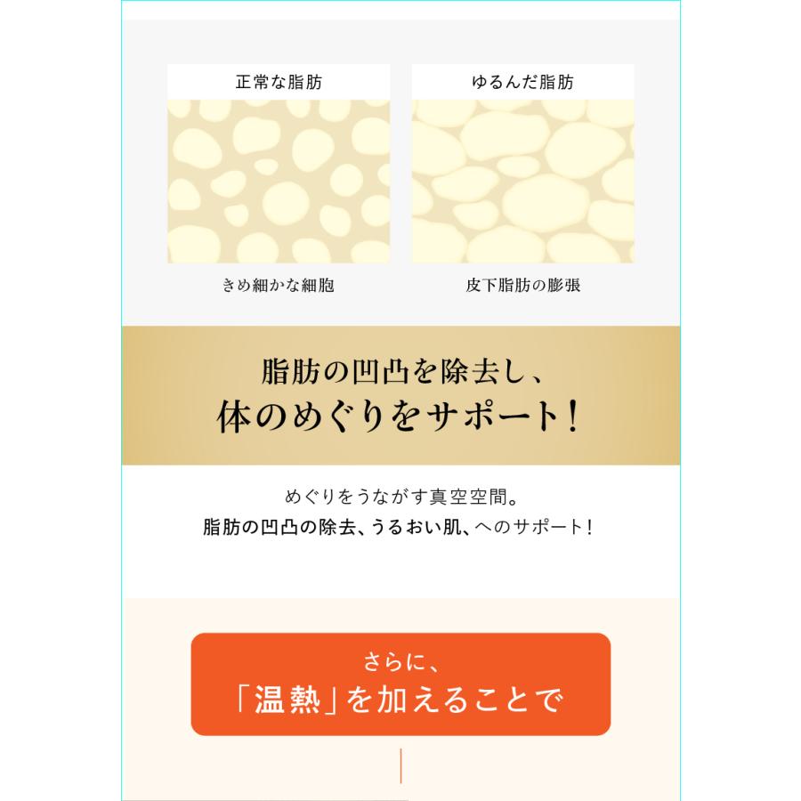WAVEWAVE EMS Slim Esthe Plus ダイエット器具 脂肪 吸引 筋肉 顔 腹