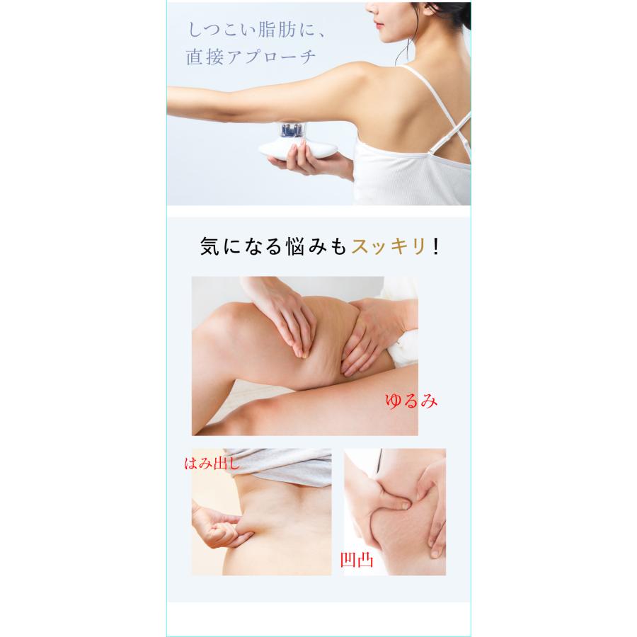 WAVEWAVE EMS Slim Esthe Plus ダイエット器具 脂肪 吸引 筋肉 顔 腹