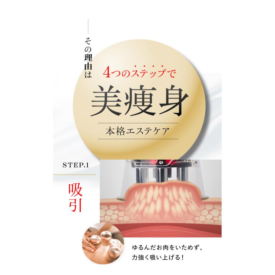 WAVEWAVE EMS Slim Esthe Plus ダイエット器具 脂肪 吸引 筋肉 顔 腹