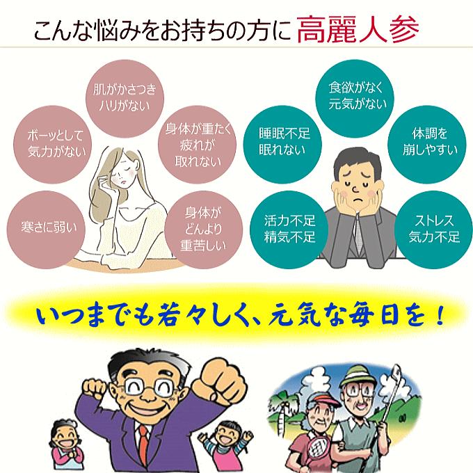 高麗人参 濃縮エキス 300g 一和高麗人参濃縮液 : ナチュラル 高麗人参 濃縮エキス 300g 一和高麗人参濃縮液 : ナチュラル
