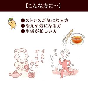 高麗人参 エキス 一和高麗人参濃縮液300g【送料無料】 高麗人参茶