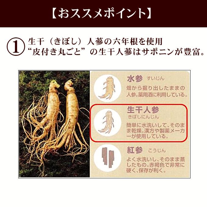 一和高麗人参濃縮液300グラム　６個 高麗人参 エキス 一和高麗人参濃縮液300g【送料無料】 高麗人参茶
