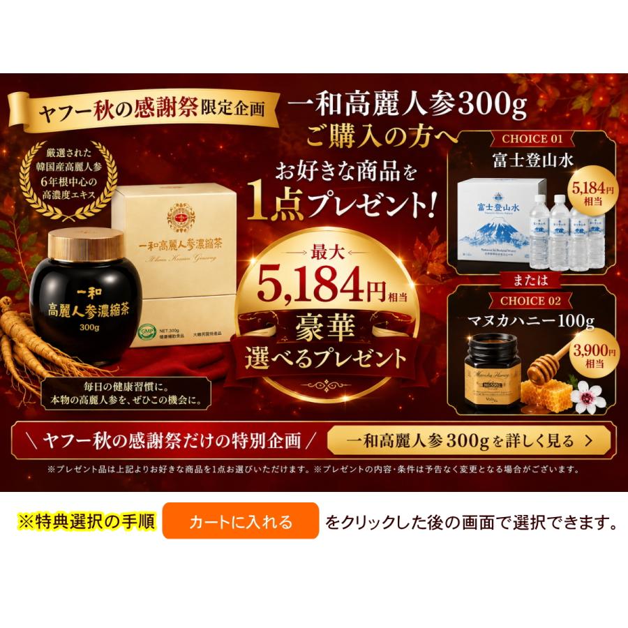 一和 高麗人参 濃縮エキス 300g 6年根 紅参 高麗人参茶 サポニン 韓国