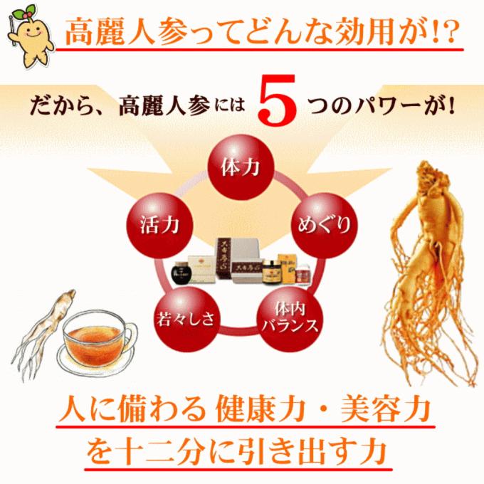一和 高麗人参 濃縮エキス 300g 6年根 紅参 高麗人参茶 サポニン 韓国