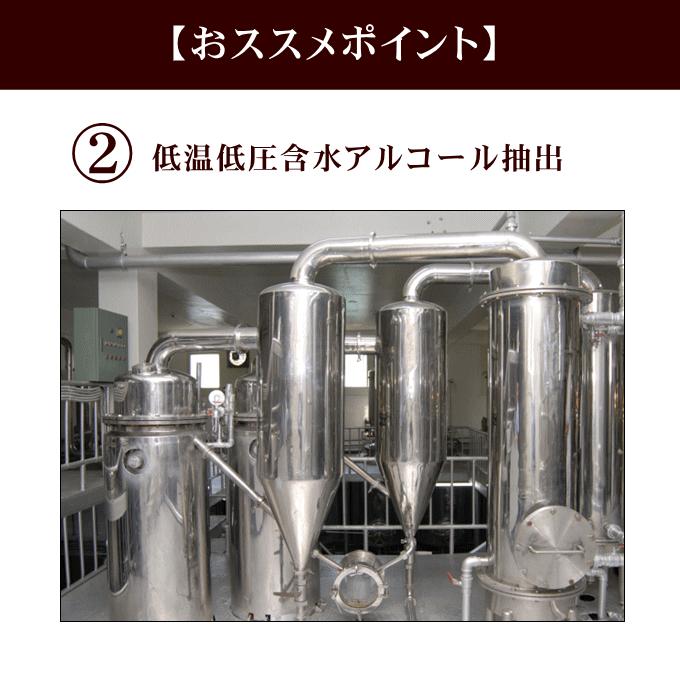 一和高麗人参濃縮エキス50g 国内正規品 高麗人参茶 腸内環境 体力 滋養