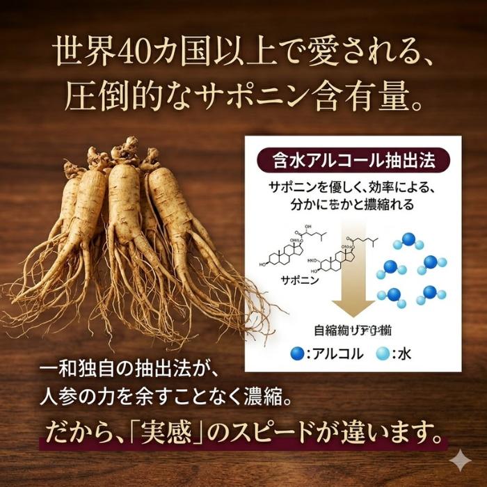 一和高麗人参濃縮エキス50g 国内正規品 高麗人参茶 腸内環境 体力 滋養
