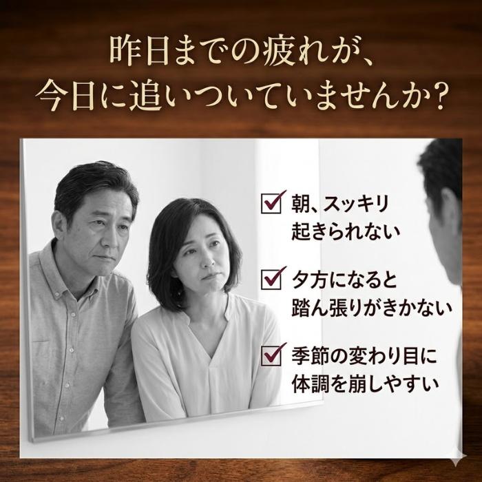 天寿參濃縮茶 高麗人参 300g 韓国産6年根高麗人参濃縮エキス サポニン