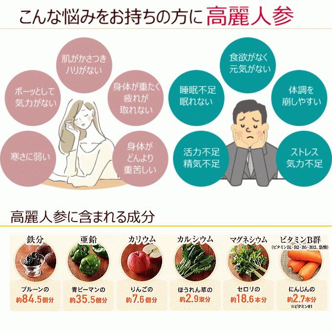 高麗人参 発酵人参 紅参 天寿參濃縮茶 50g エキス 腸内環境 体力