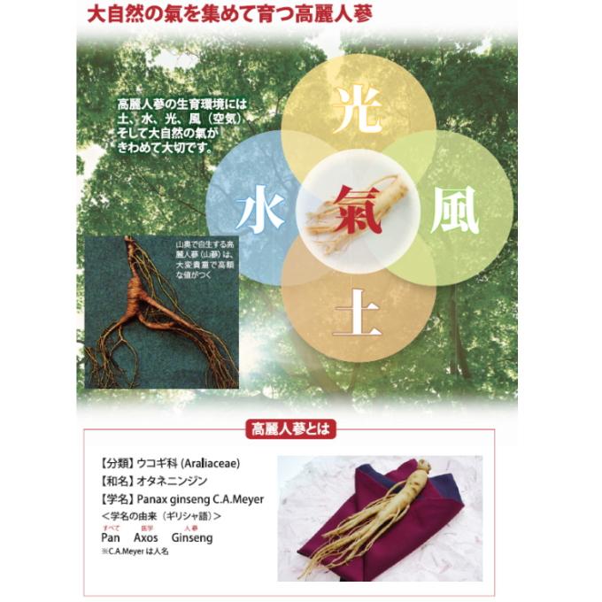 高麗人参 一和 天壽蔘S340【国内正規品】カプセル てんじゅさん 発酵