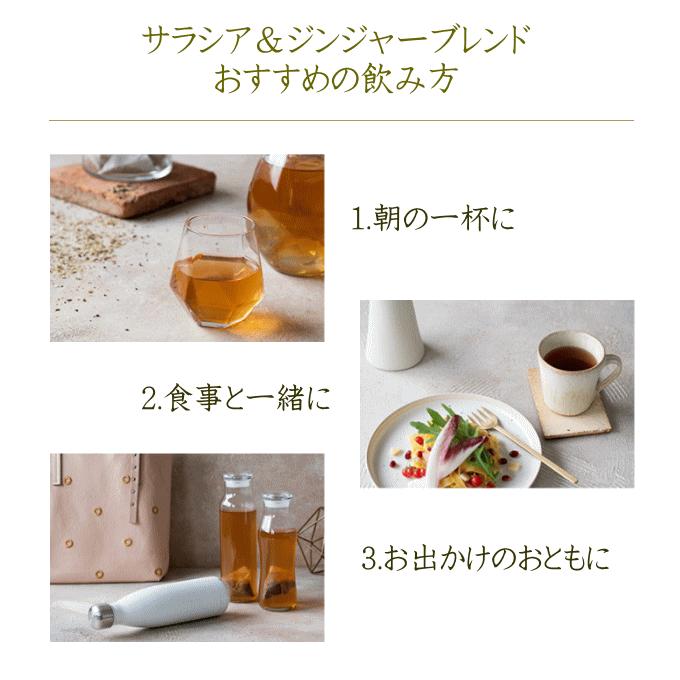 ヴェーダヴィ サラシア＆ジンジャーブレンド30包 自然派化粧品ナチュラルスタイル｜natural-style｜12