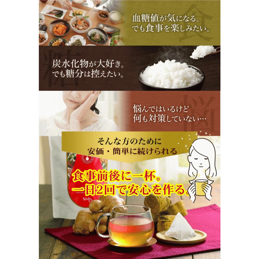 ヴェーダヴィ サラシア＆ジンジャーブレンド30包 自然派化粧品ナチュラルスタイル｜natural-style｜07