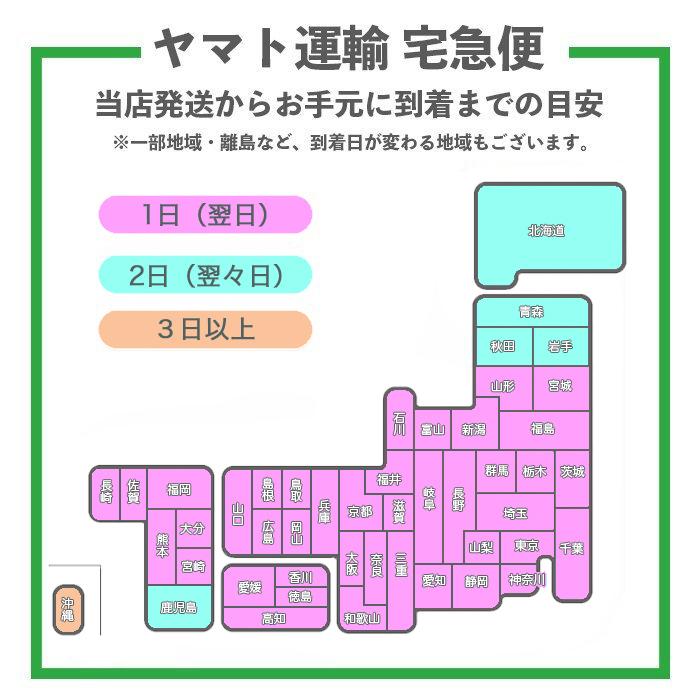 ひとめぼれ 新米 10kg (5kg*2) 令和4年産 宮城県産 米 お米 白米