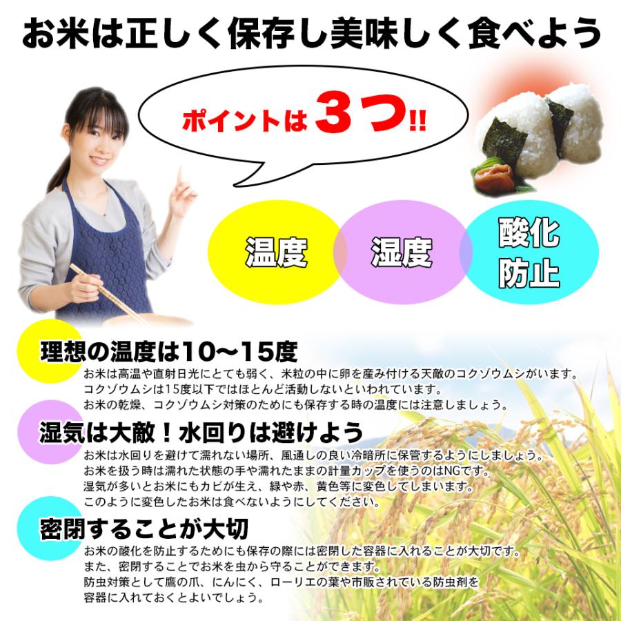 日本のお米 20kg お米 米 白米 精米 10kg*2 毛利米穀 20キロ お
